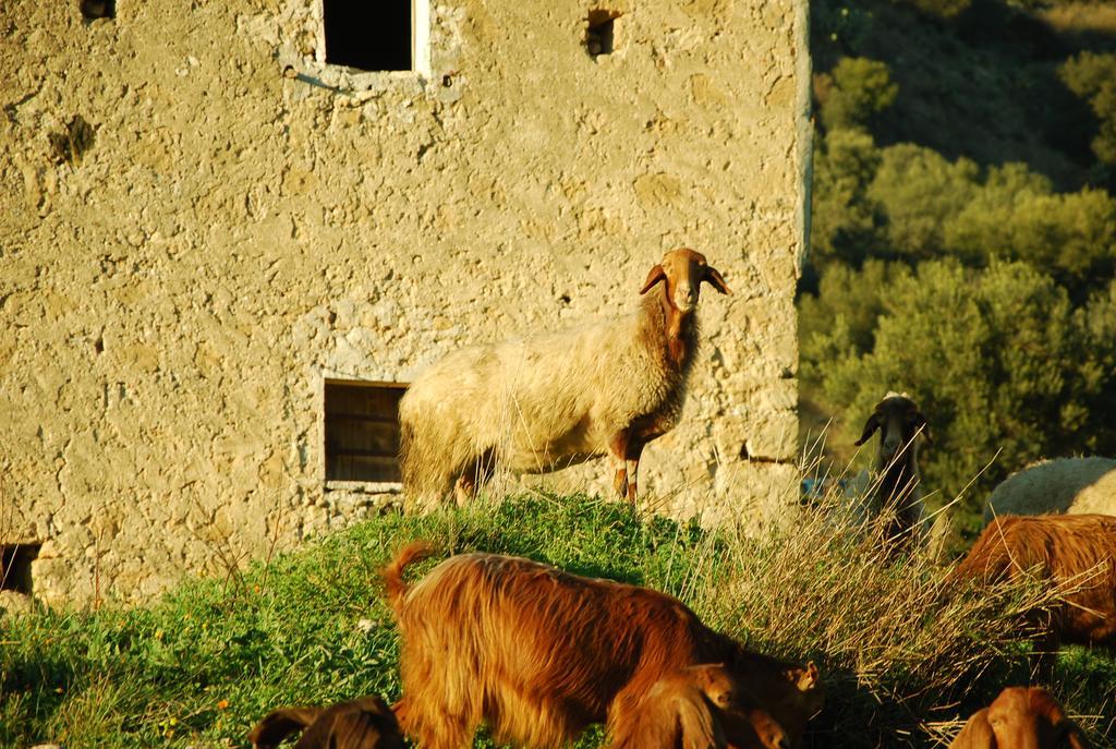 Experience Il Paesino Hotel Licodia Eubea Kültér fotó
